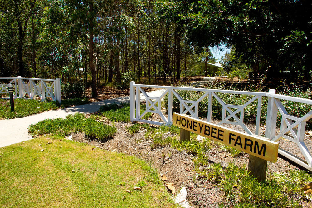 Honeybee Wellness Resort Kandanga Exteriér fotografie